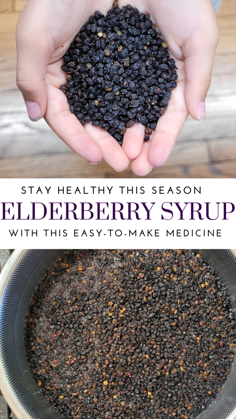 How To Make Elderberry Syrup And Its Health Benefits - Traditional Home ...
